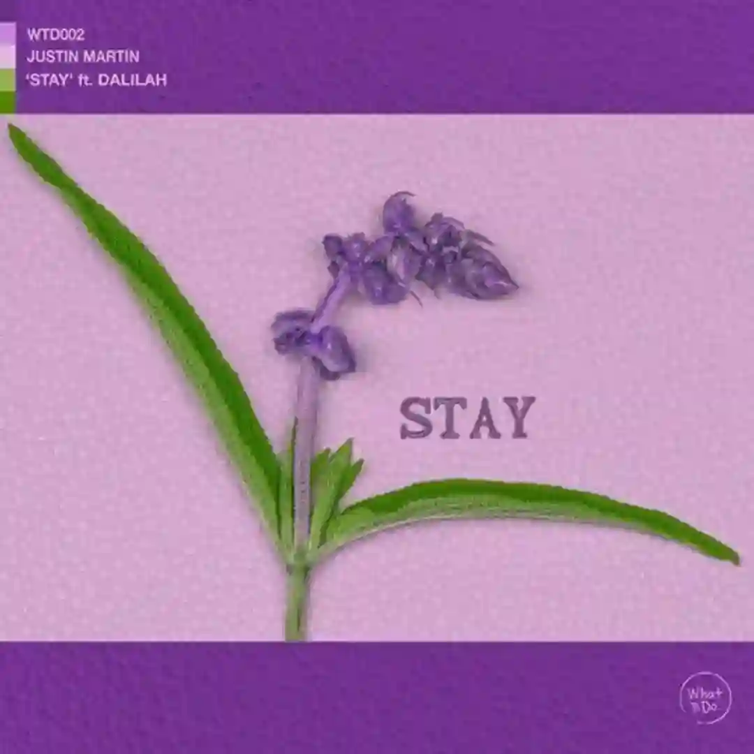 Stay (feat. Dalilah) cover
