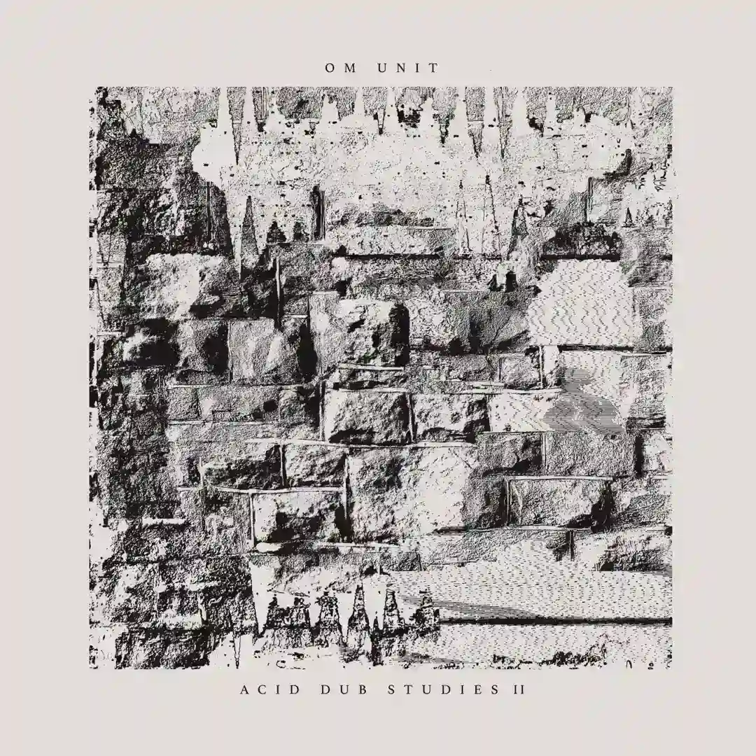 Acid Dub Studies II cover