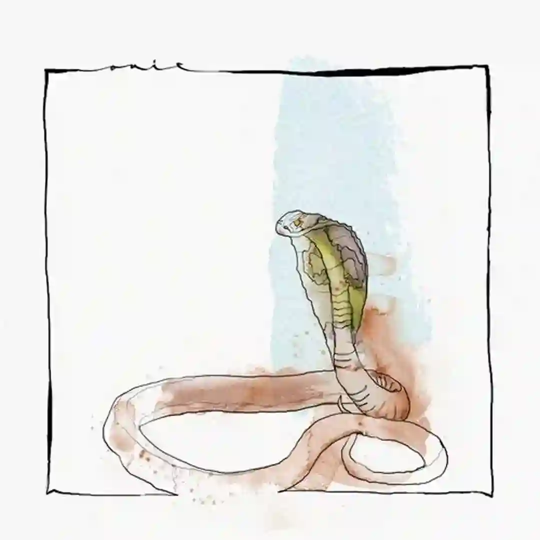 Snake Dance (Original Mix) cover