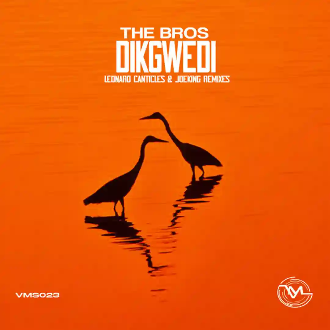 Dikgwedi cover