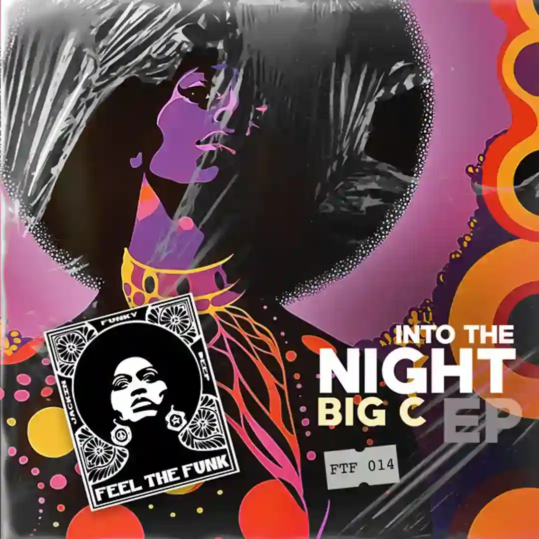 Into The Night cover