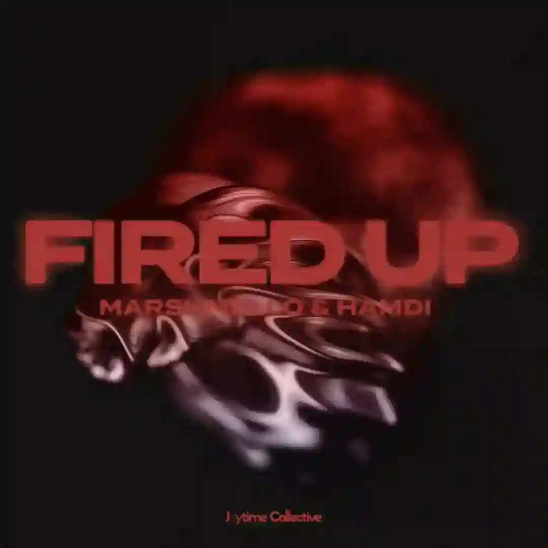 Fired Up cover