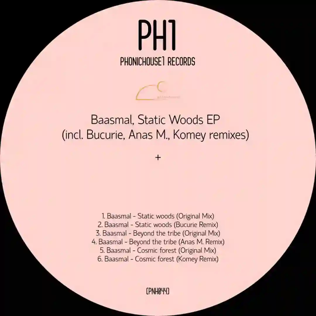 Static Woods (Bucurie Remix) cover