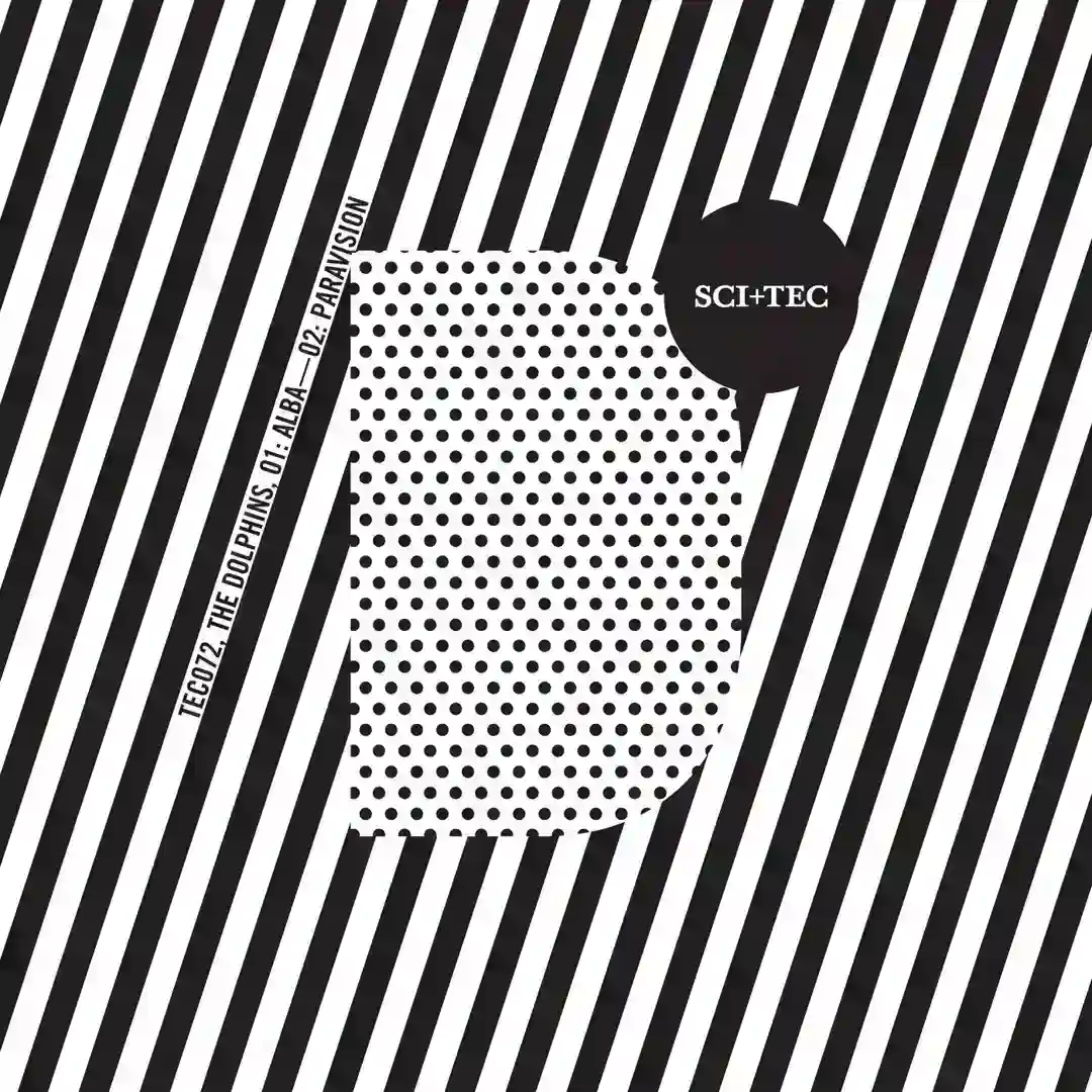 Paravision (Synth Tool) cover