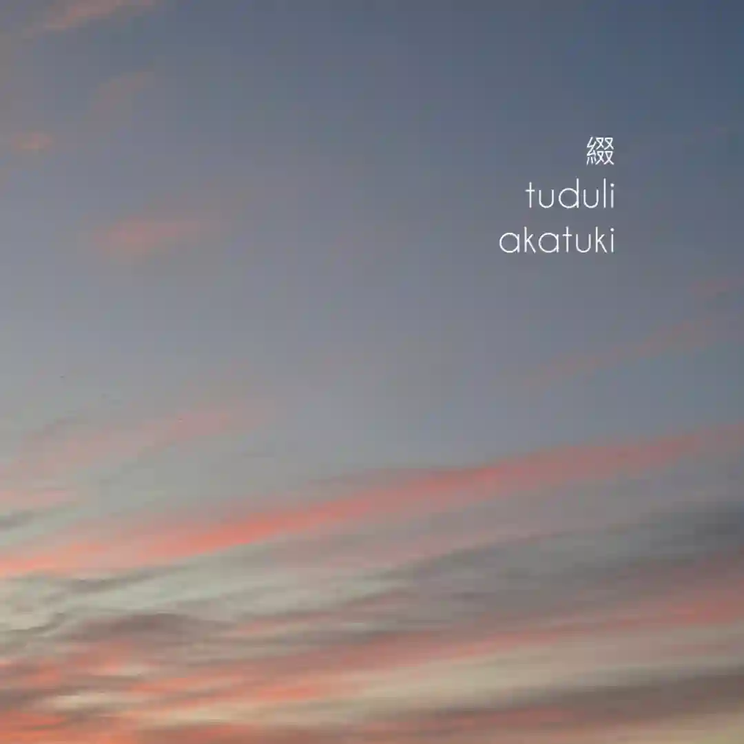 Tuduli 綴 (Original Mix) cover