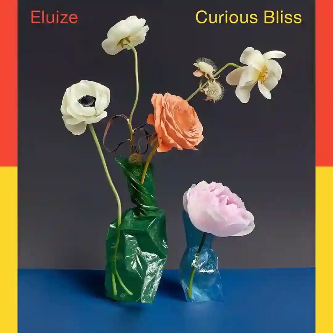 Curious Bliss cover