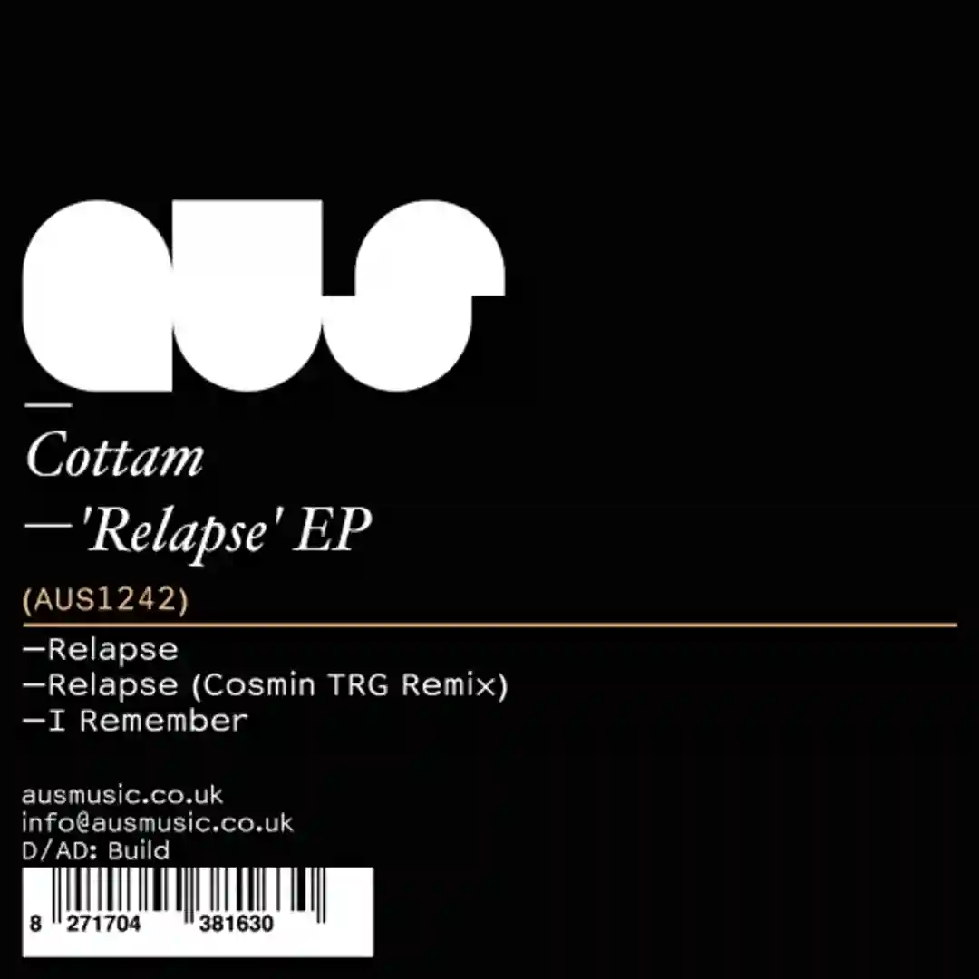 Relapse (Original Mix) cover
