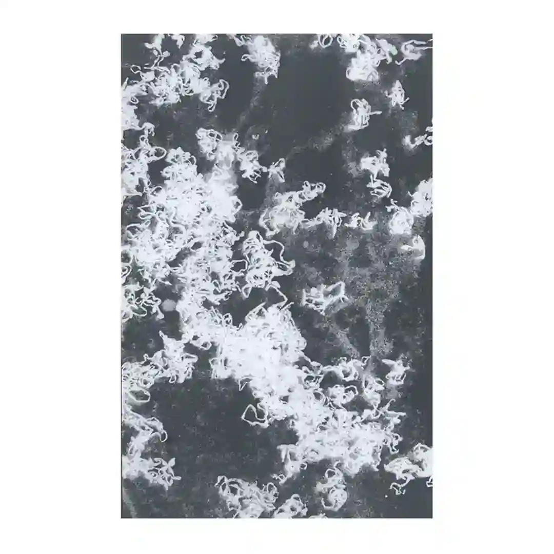 Totale cover