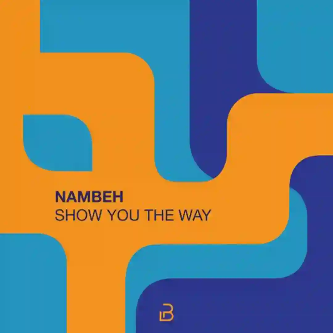 Show You the Way cover