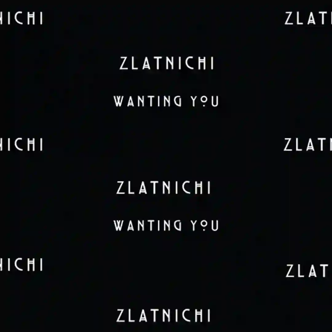 Wanting You (Original Mix) cover