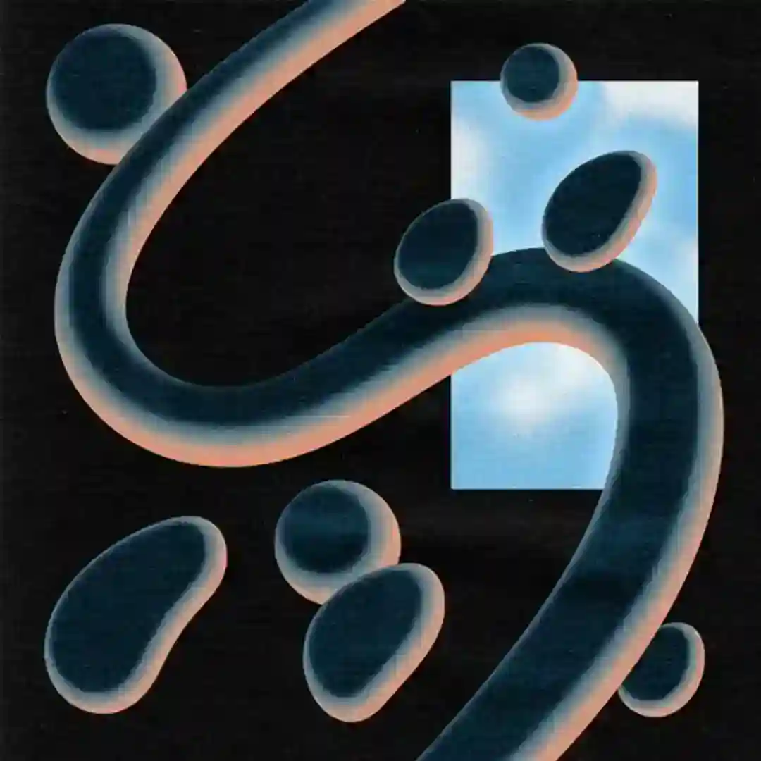 Mushroom Valve (Original Mix) cover