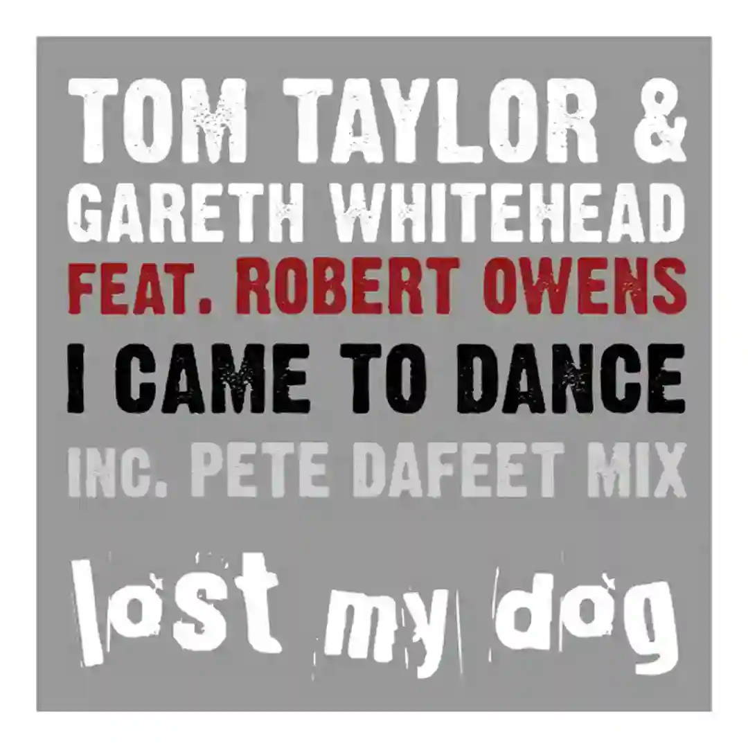 I Came to Dance Feat Robert Owens cover