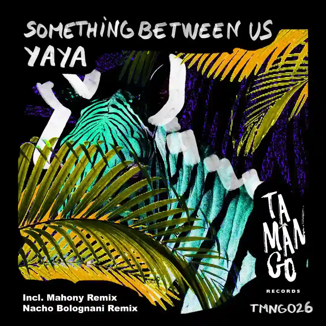 Something Between Us (Original Mix) cover