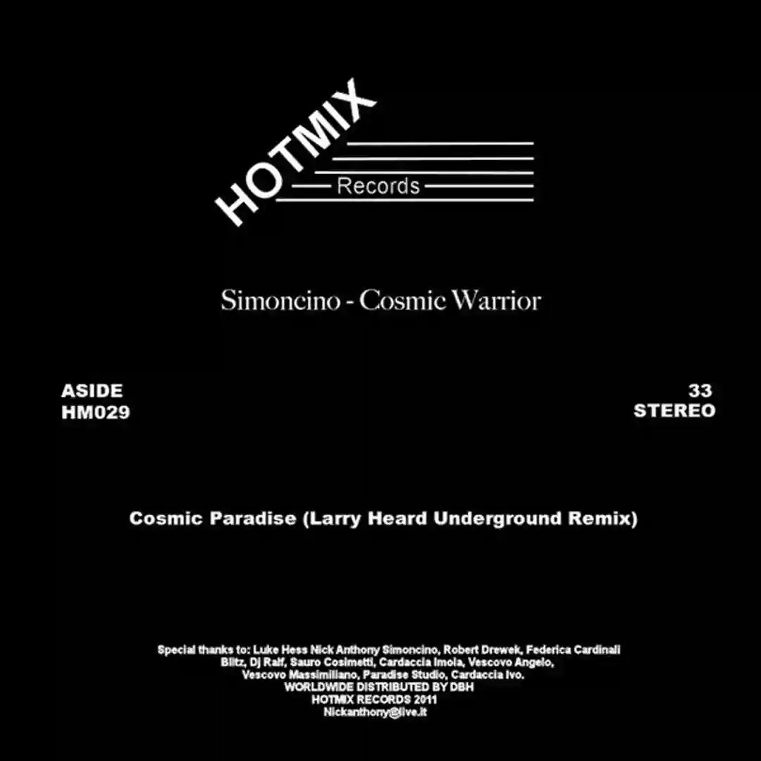 Cosmic Paradise (Larry Heard Underground Remix) cover