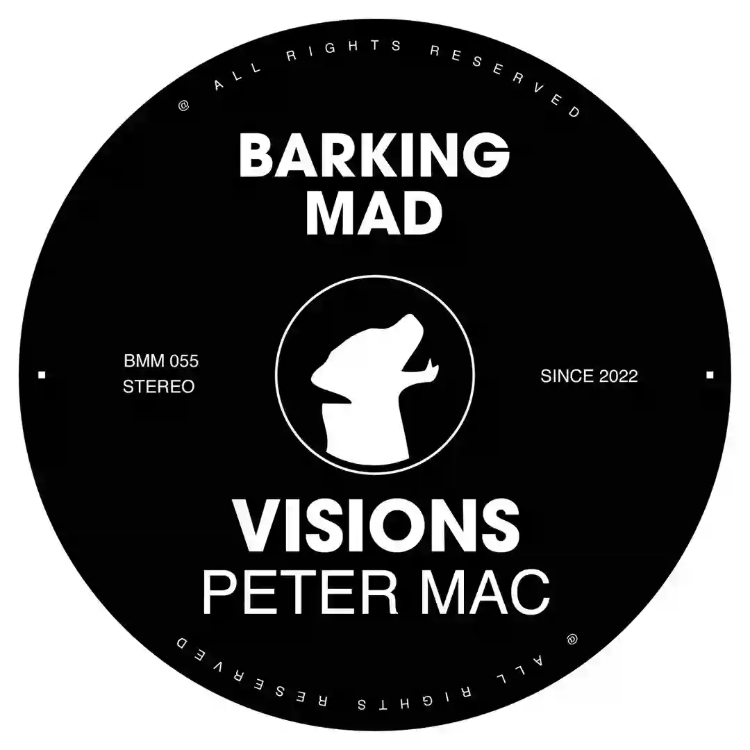 Visions cover