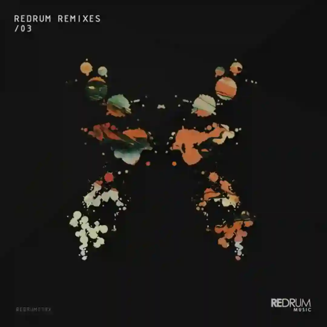 Redrum Remixes / 03 cover