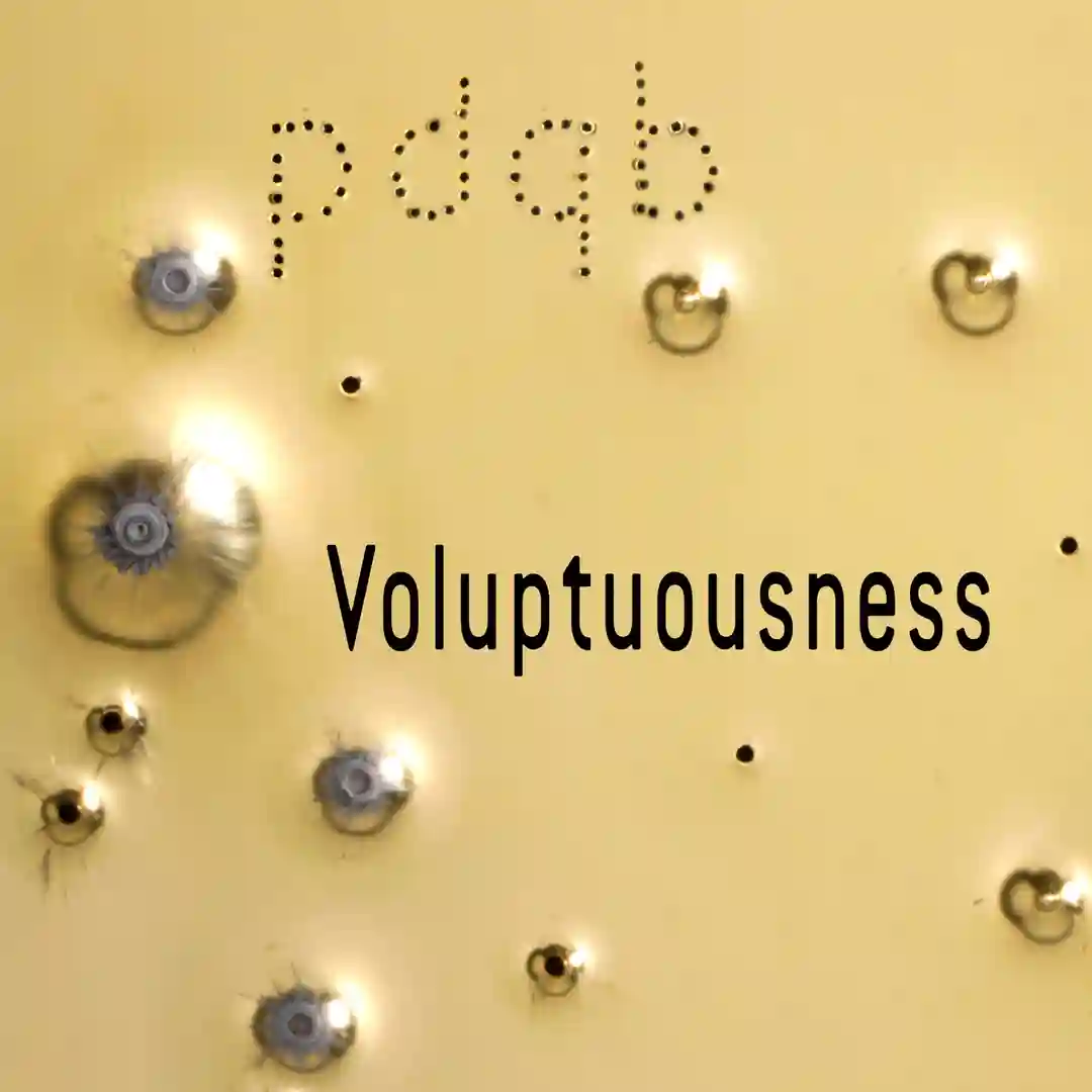 Voluptuousness cover