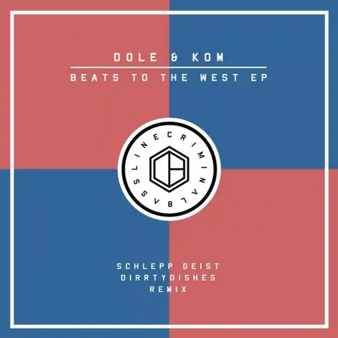 House DJ (DirrtyDishes Remix) cover