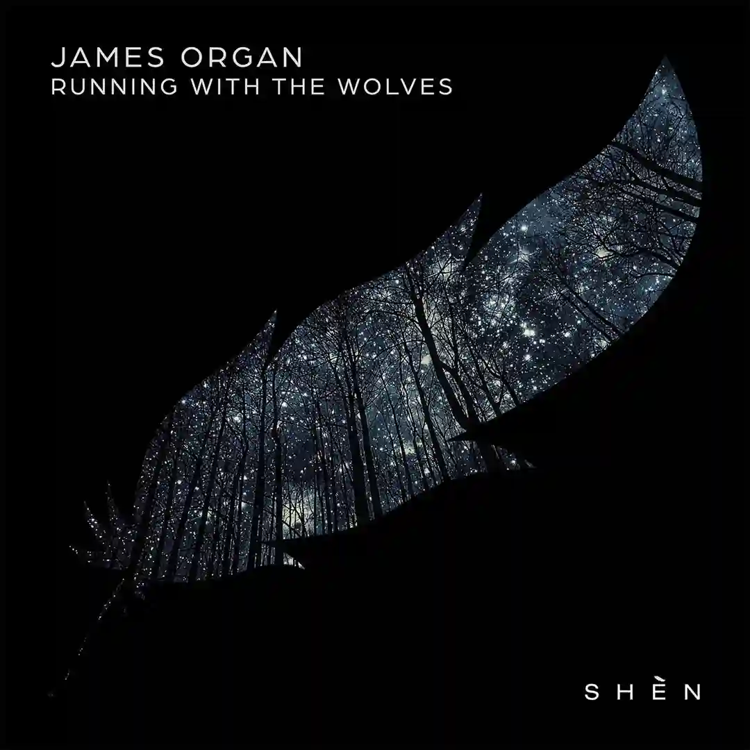 Running With The Wolves cover