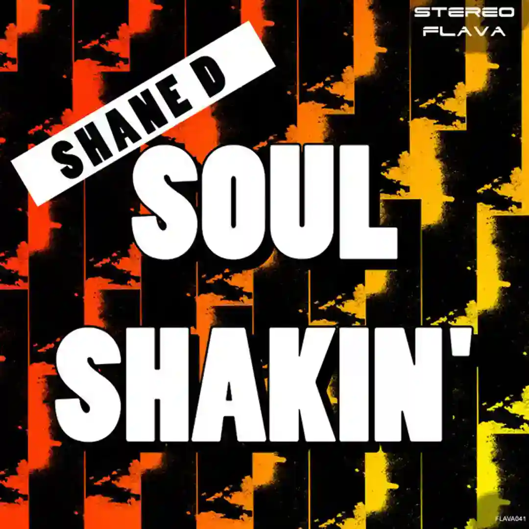 Soul Shakin (Original Mix) cover