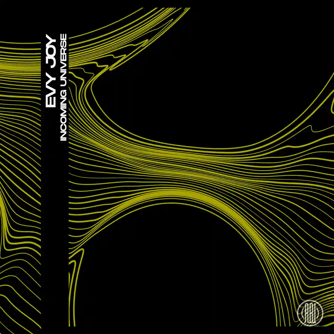 Incoming Universe (Original Mix) cover