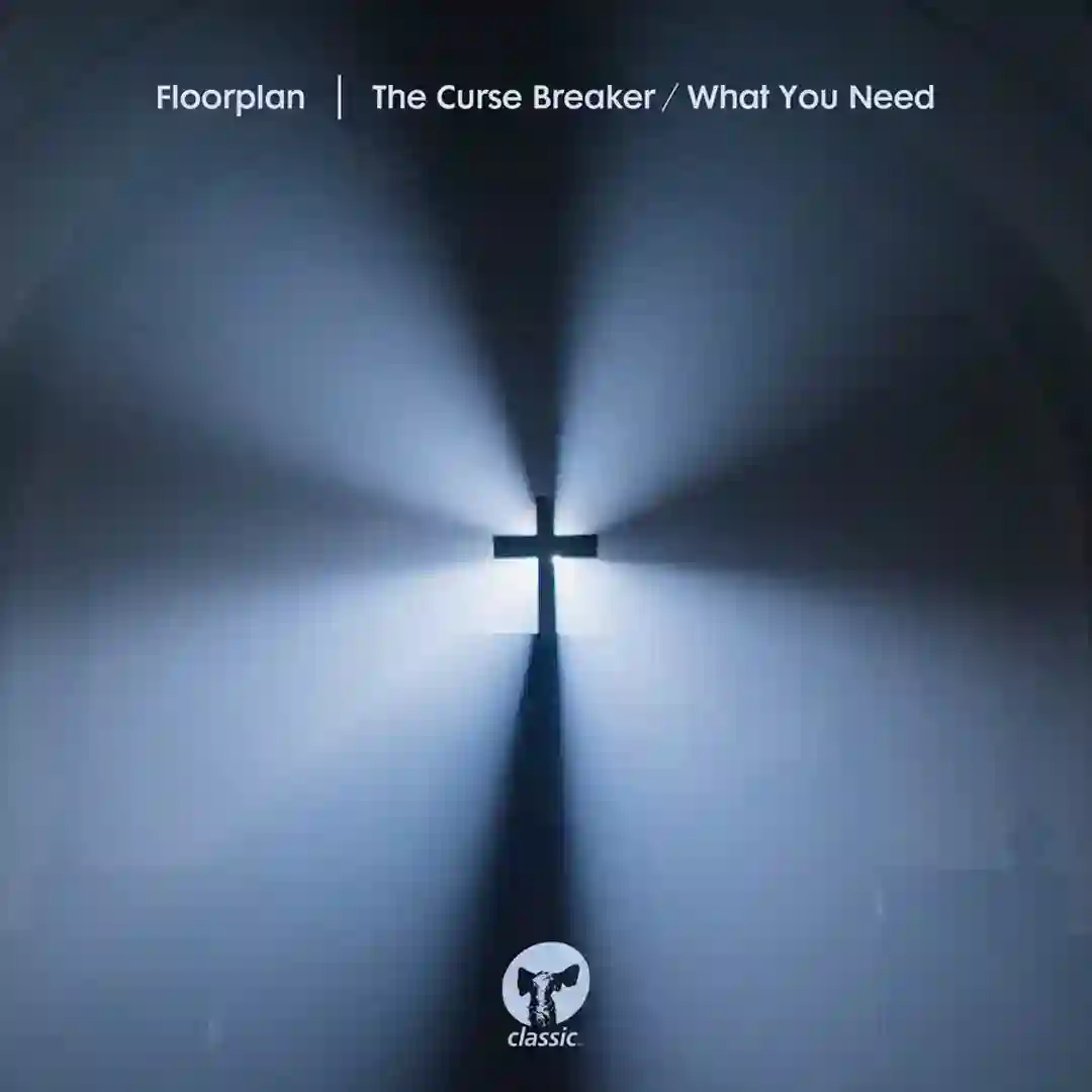 What You Need (Extended Mix) cover