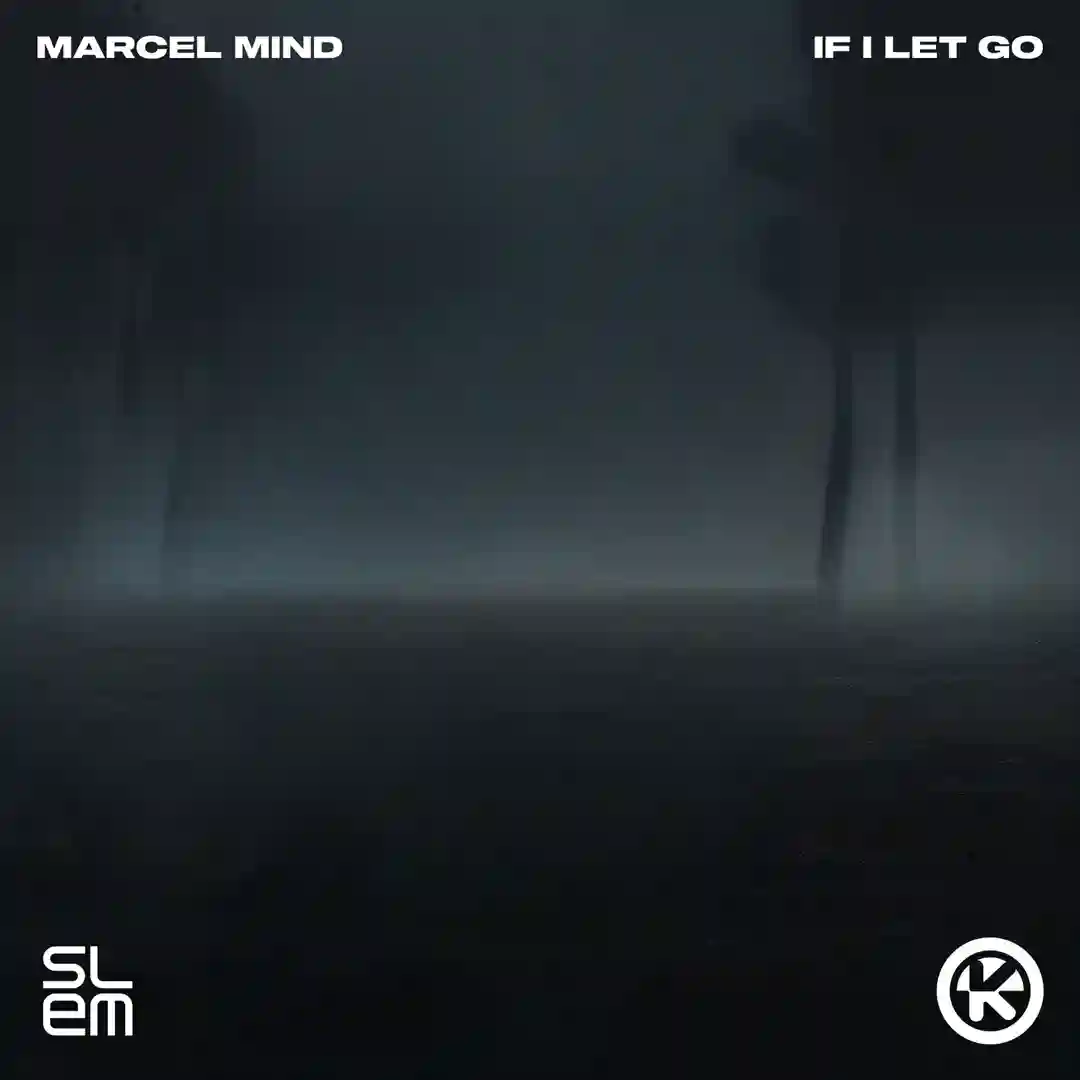 If I Let Go cover