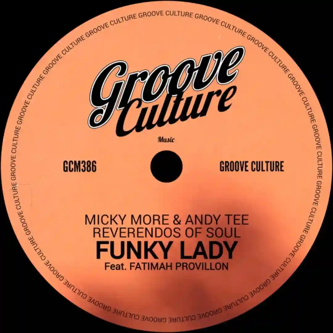 Funky Lady (Extended) cover