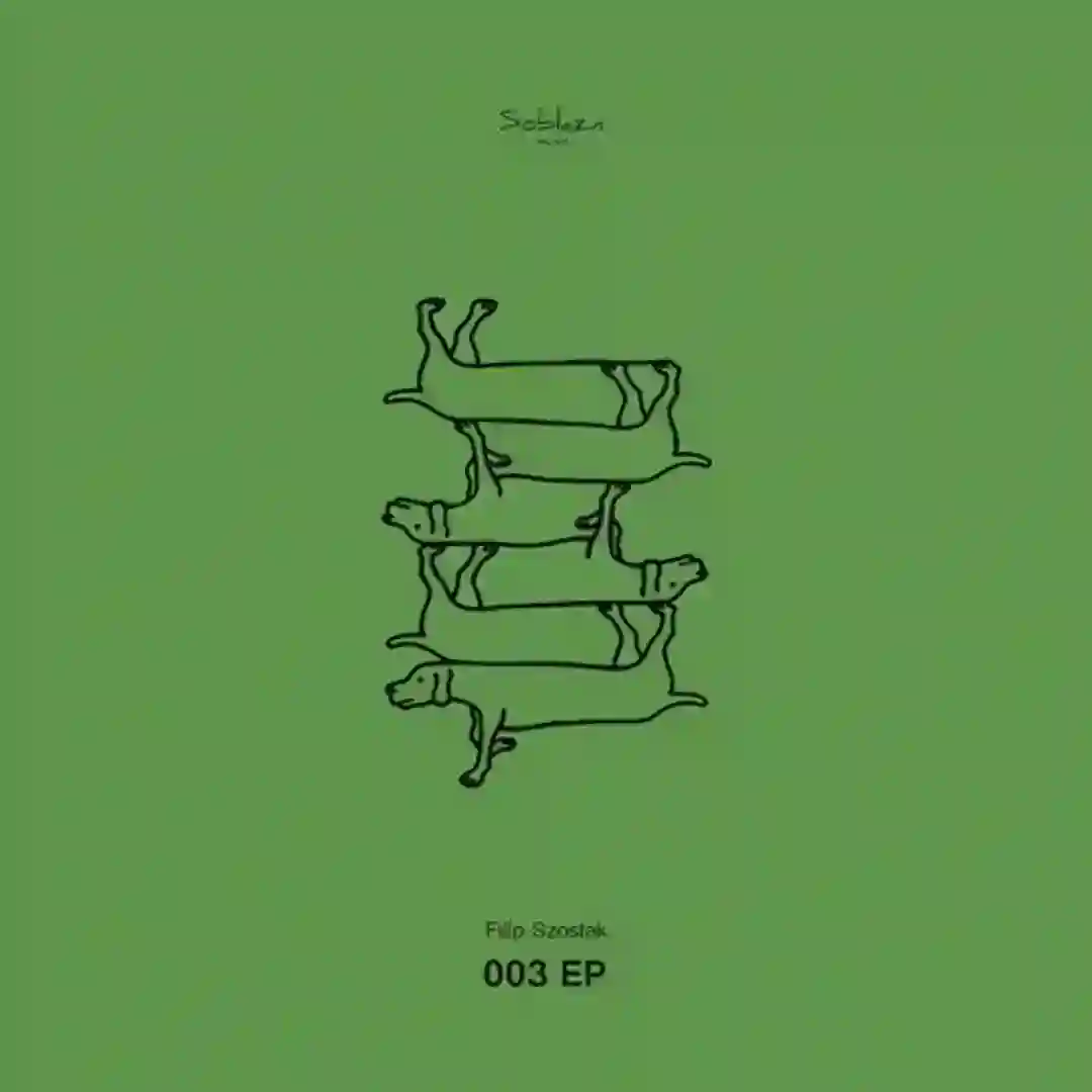 Acidraw (Original Mix) cover