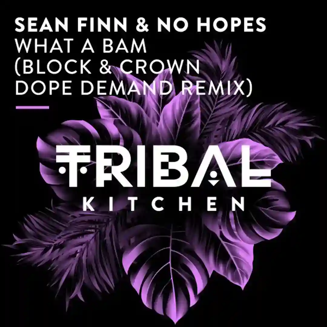 What a Bam (Block & Crown Dope Demand Extended Remix) cover