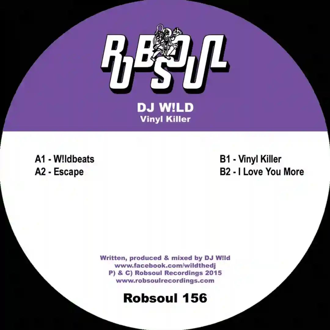 Vinyl Killer cover