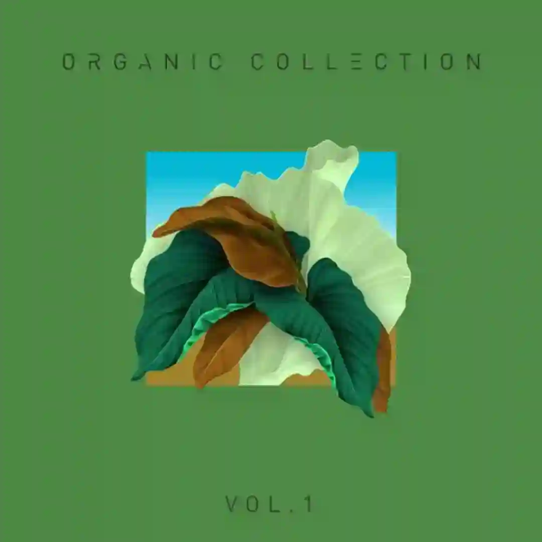 As I Ran cover