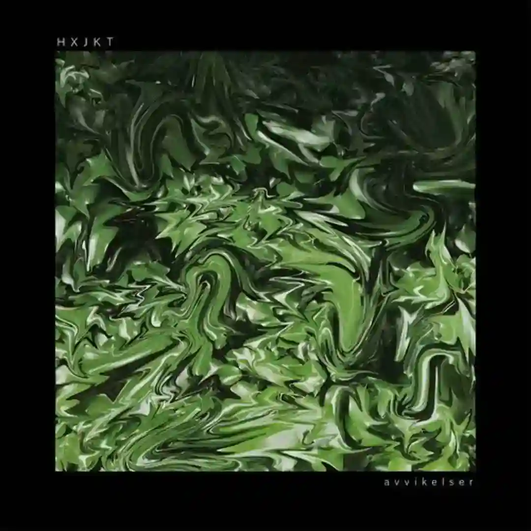 Avvikelser cover