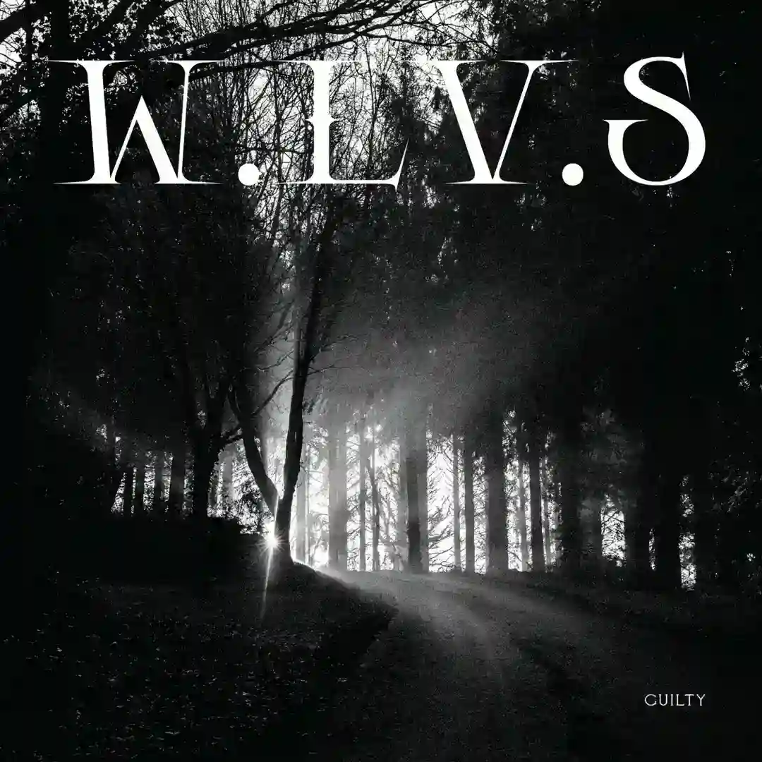 Guilty cover