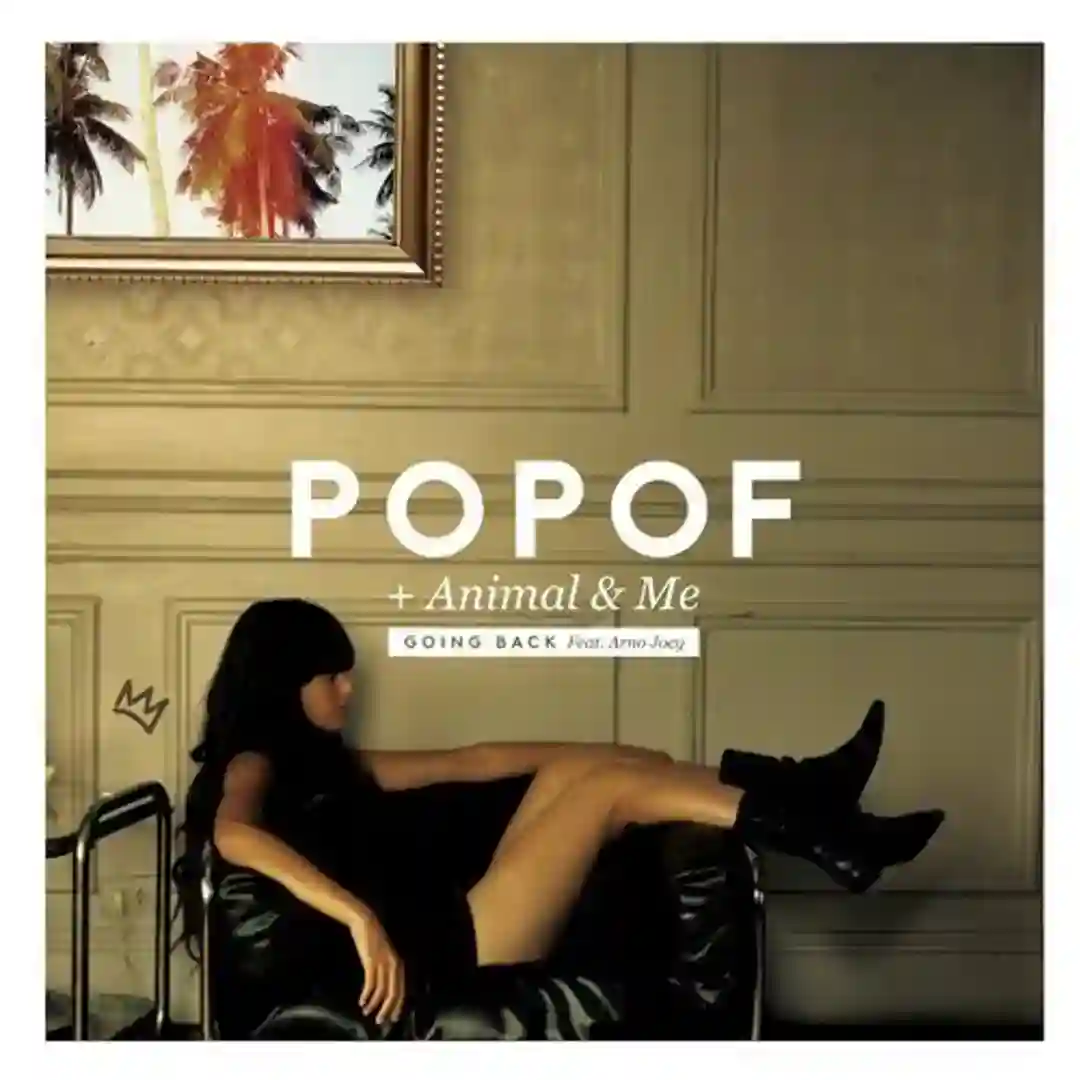 Going Back feat. Arno Joey feat. Miss Kittin (Oxia & Miss Kittin Remix) cover
