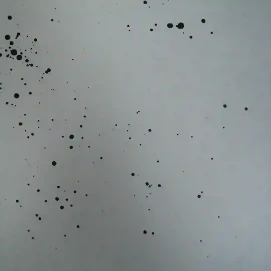 Kino cover