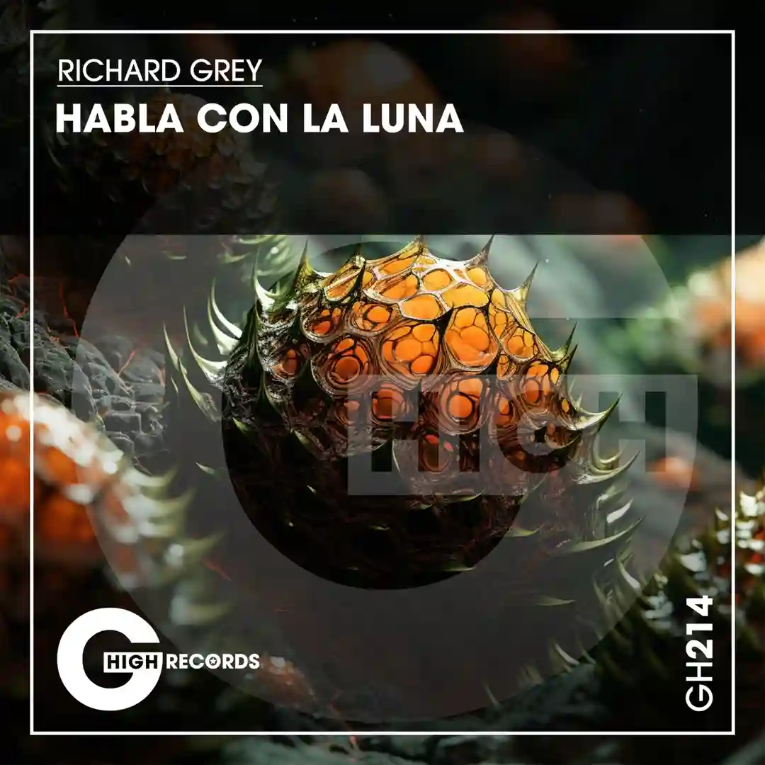 Habla Con La Luna (Funky Tribal Mix) cover