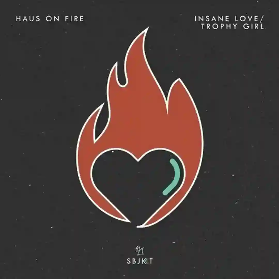 Insane Love (Extended Mix) cover