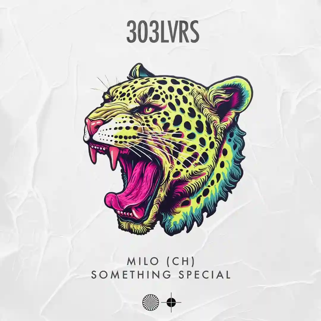 Something Special (Extended Mix) cover