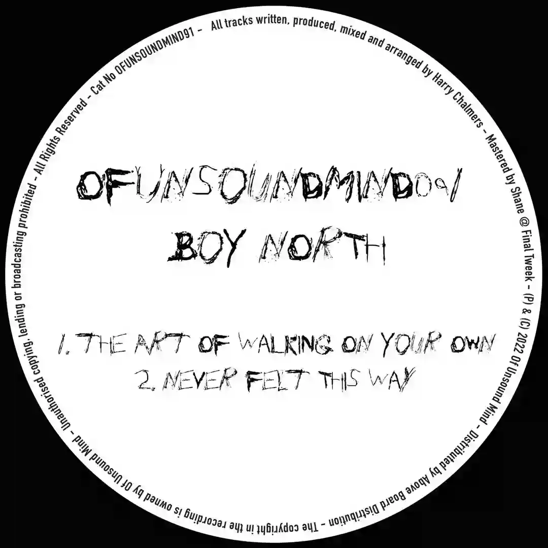 The Art Of Walking On Your Own / Never Felt This Way cover