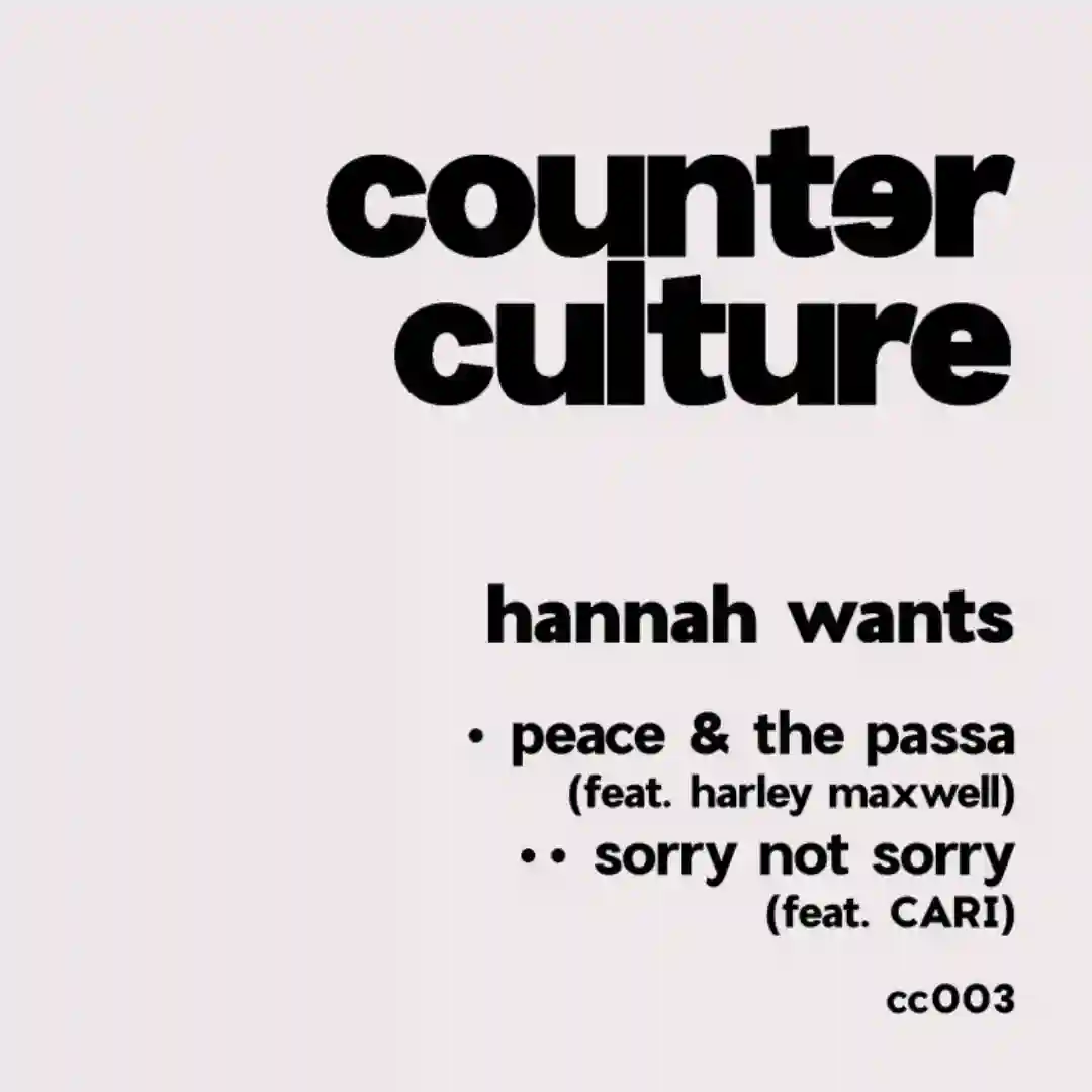 sorry not sorry (Original Mix) cover