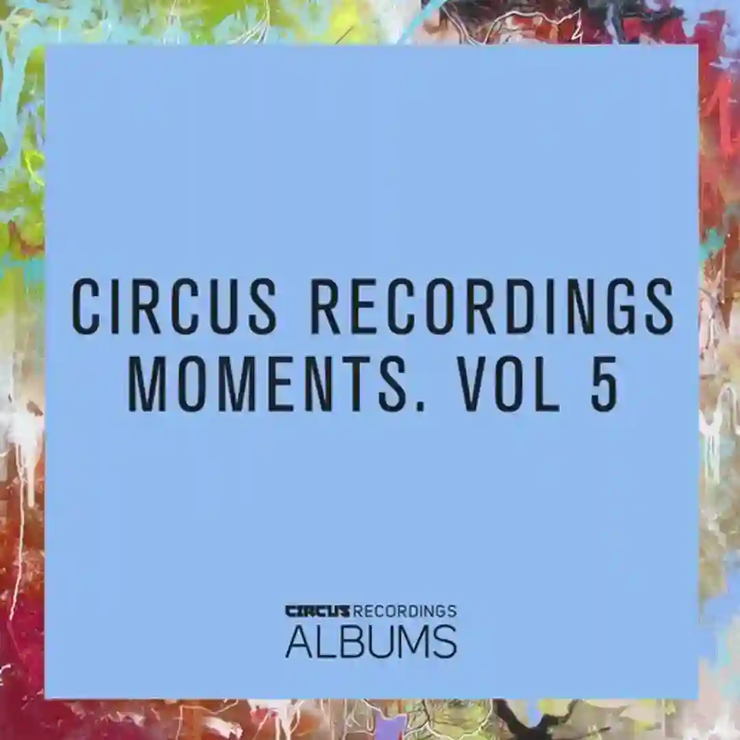 For The Terraces (Original Mix) cover