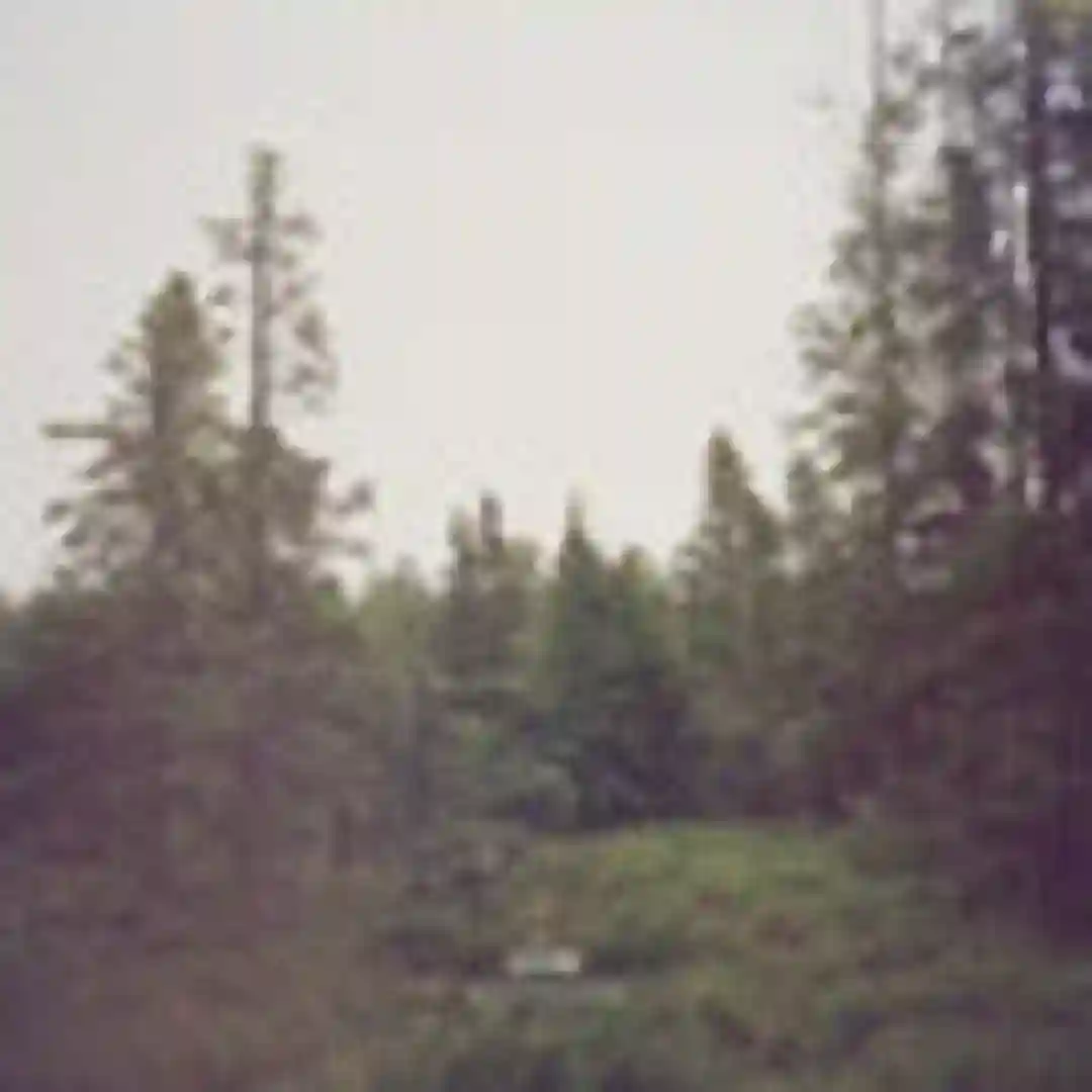 Autumn Bells cover