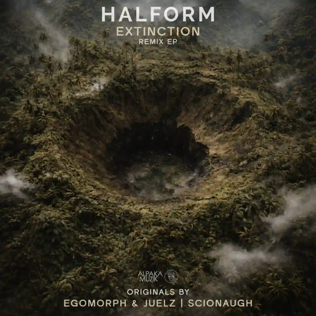 Domestic Dinosaur (Halform Remix) cover