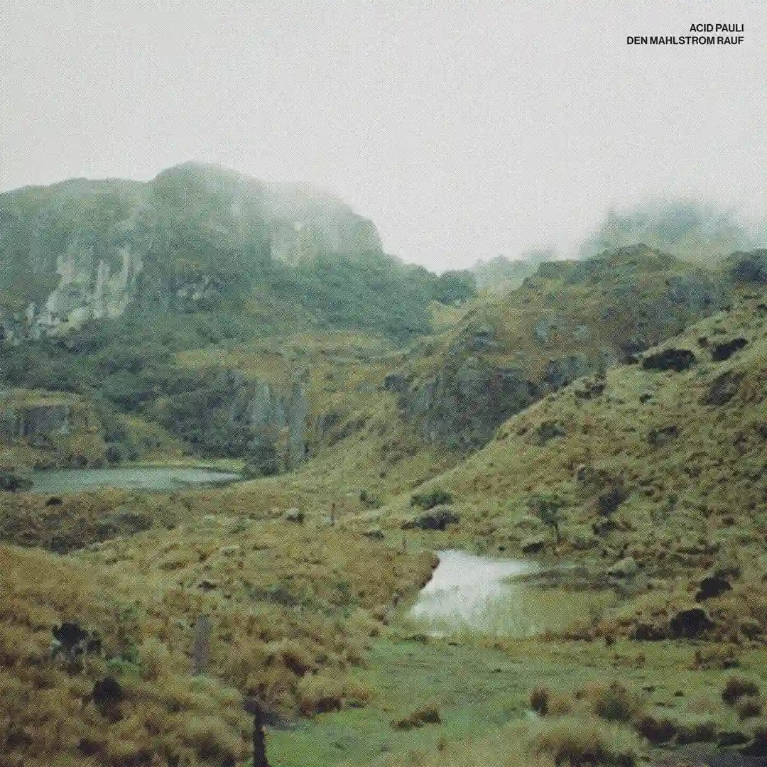 Den Mahlstrom runter (Original Mix) cover