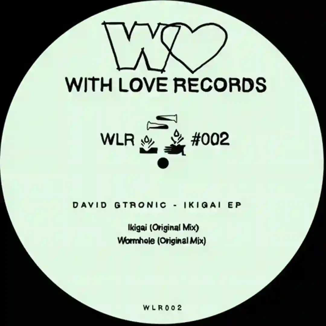 Wormhole (Original Mix) cover