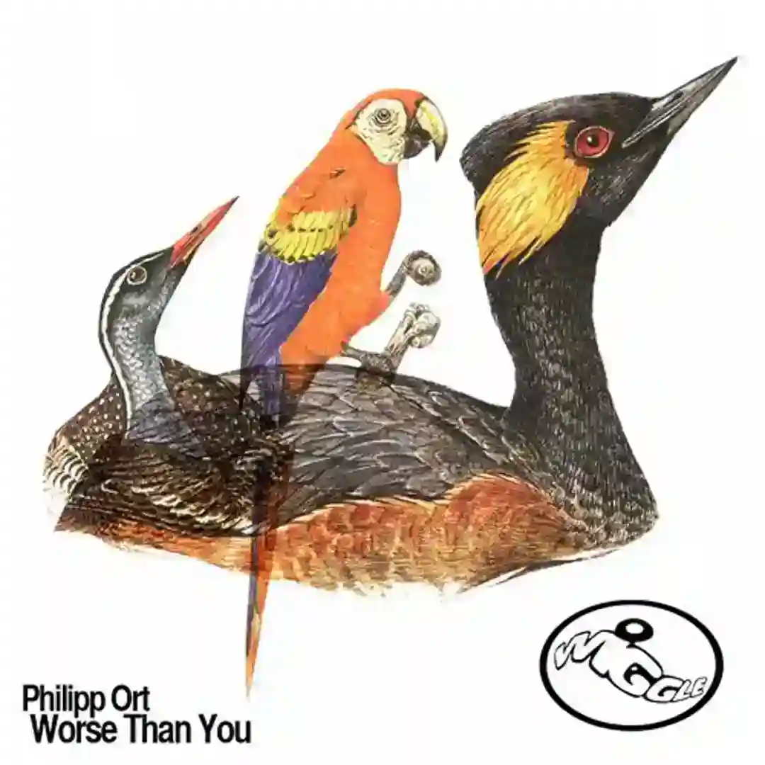 Worse Than You cover