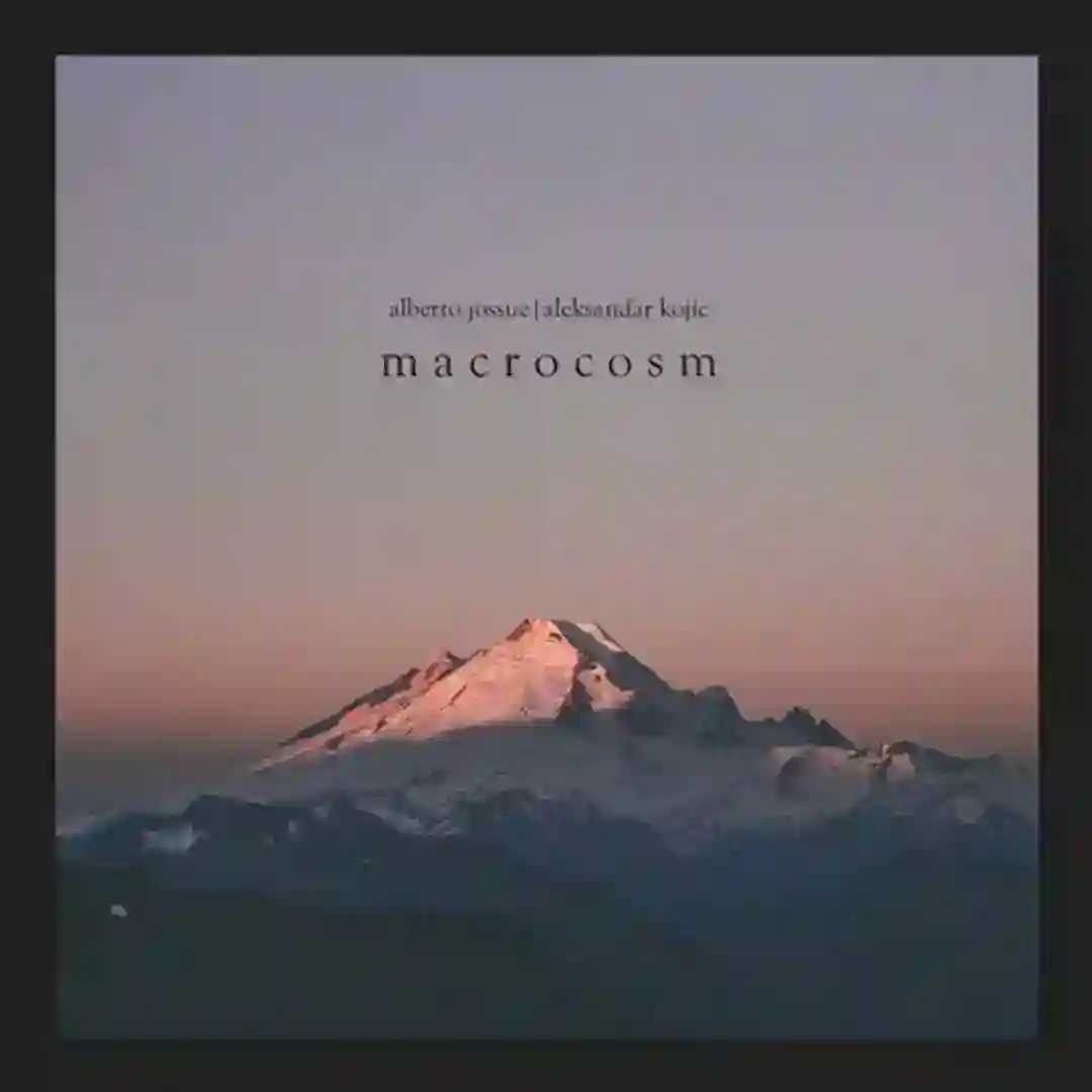 Macrocosm (Original Mix) cover