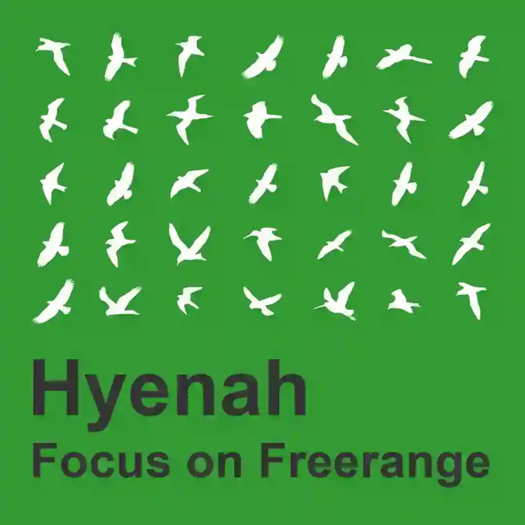 Hyenah: Focus On Freerange (Continuous Mix) cover