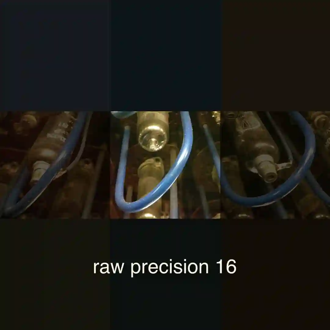 Raw Precision 16 cover
